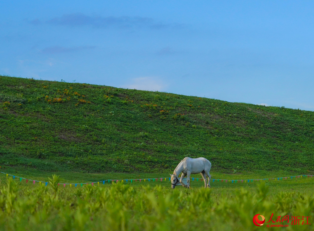 碧云花園里的動物牧場。人民網記者 郭揚攝