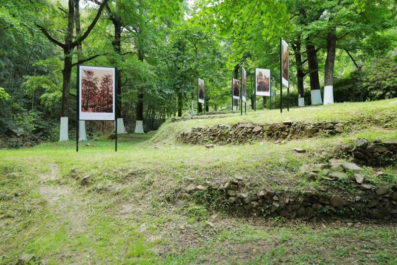 杏會八都——許江作品展。湖州市文聯供圖