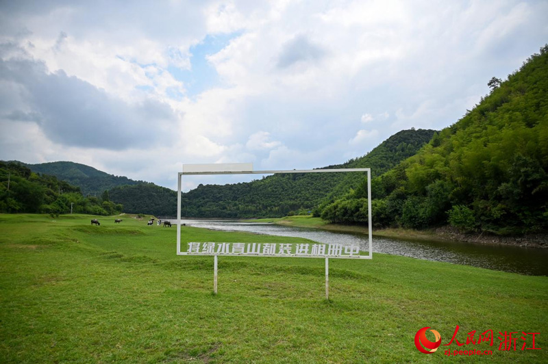 夏陽村的綠水青山。人民網記者 葉賓得攝