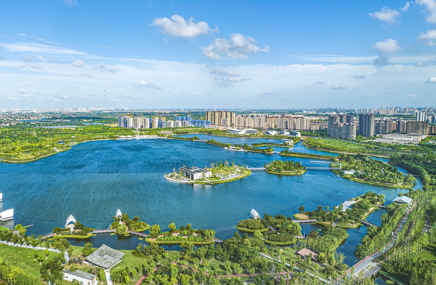 銀杏天鵝湖俯瞰圖。秀洲區委宣傳部供圖