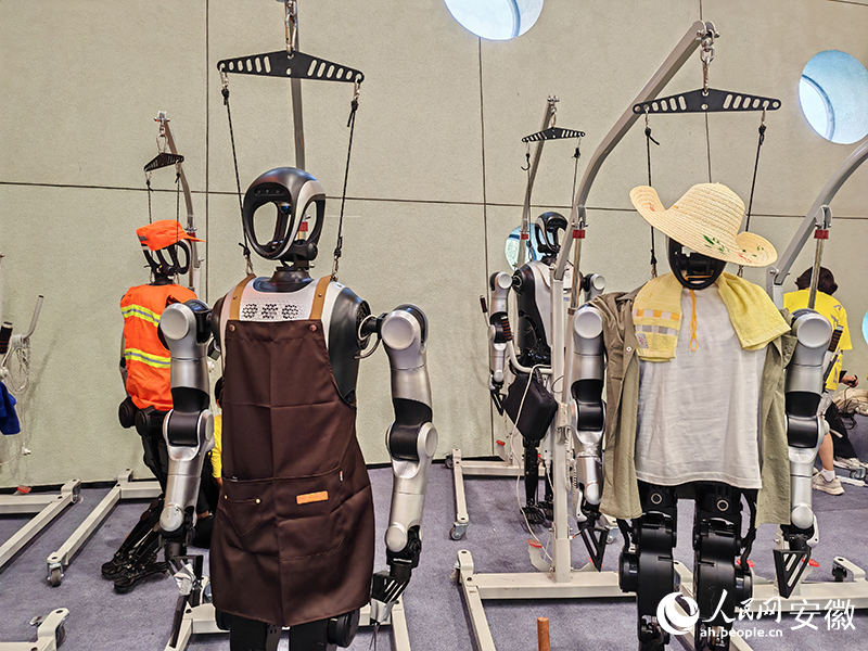 各參賽隊伍機器人模型。人民網 丁紀攝