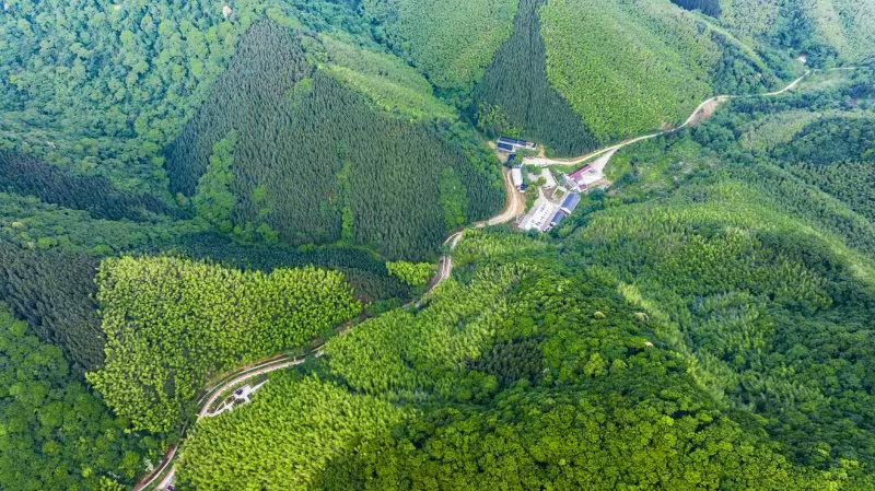 俯瞰南陵縣三里鎮東山林場。南陵縣委宣傳部供圖