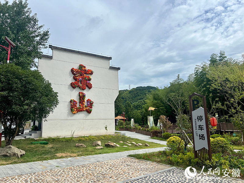 南陵縣呂山村東山村民組一隅。人民網記者 汪瑞華攝