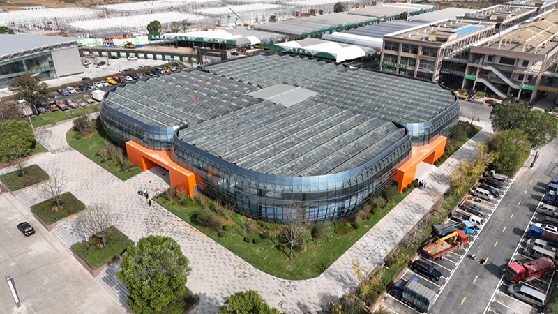 中國中部花木城。肥西縣合苗中心供圖