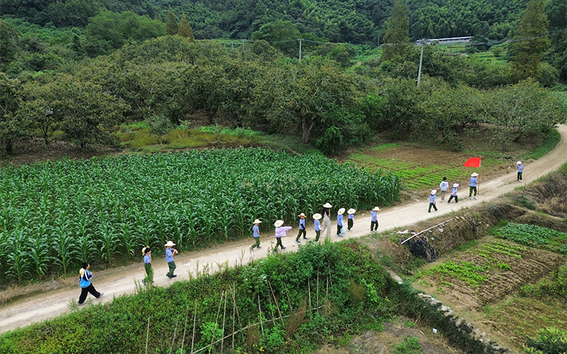 孩子們參與鄉村研學活動。胡陳鄉供圖