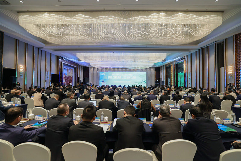 活動開幕式。松陽縣融媒體中心供圖