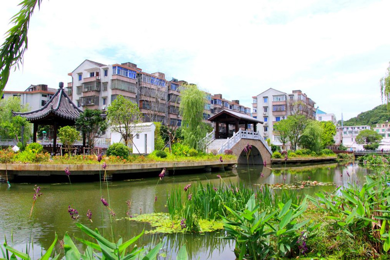 整治提升后的河岸。路橋街道供圖