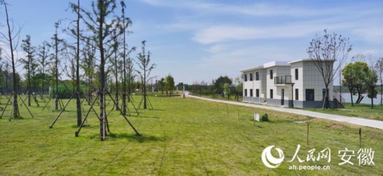 如今的老池口市民公園已做到水清岸綠，景美情怡。人民網 胡雨松攝_結果.jpg