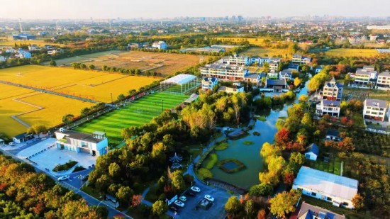 屠甸榮星足球公園。桐鄉市委宣傳部供圖