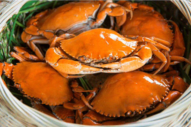 霞客宴。寧?？h委宣傳部供圖